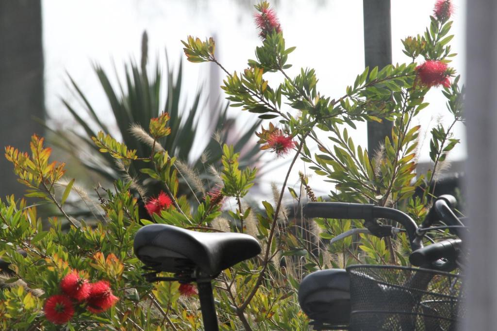 Hotel Righetto Fronte Mare Cavallino-Treporti Ngoại thất bức ảnh